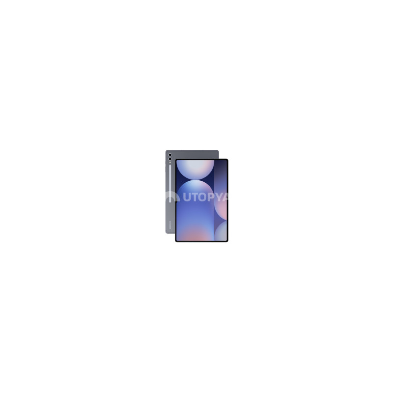 Samsung Galaxy Tab S10 Ultra 256 GB Grigio (WiFi) (Grado A) Samsung Galaxy Tab S10 Ultra 256 GB Grigio (WiFi) (Grado A)