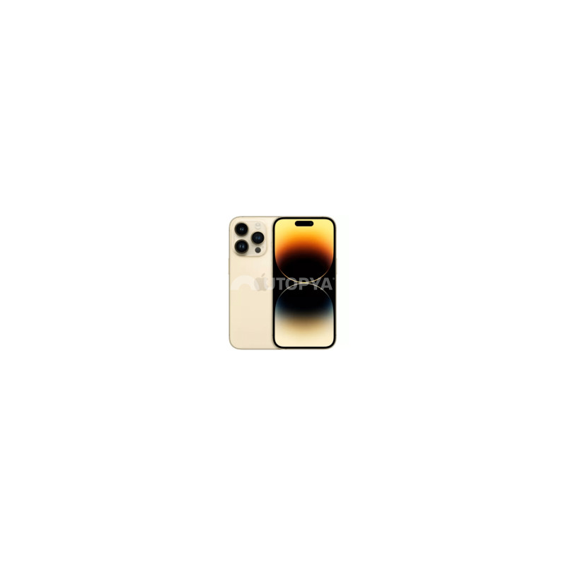 iPhone 14 Pro Max 128 GB Oro (Grado B) (IVA del margine) (Ricondizionato)