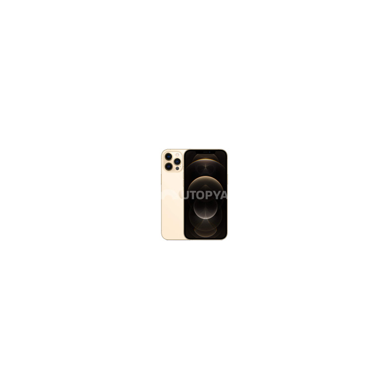 iPhone 12 Pro Max 128 GB Oro (Grado A) (IVA sul margine) (Ricondizionato)