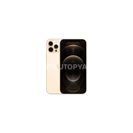 iPhone 12 Pro Max 128 GB Oro (Grado A) (IVA sul margine) (Ricondizionato)
