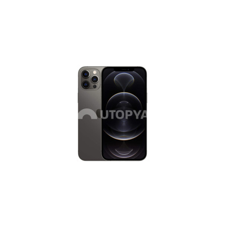 iPhone 12 Pro Max 256 GB Grafite (Grado B) (IVA al margine) (Ricondizionato)
