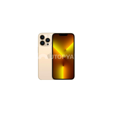iPhone 13 Pro 256 GB Oro (Grado B) (IVA del margine) (Ricondizionato)