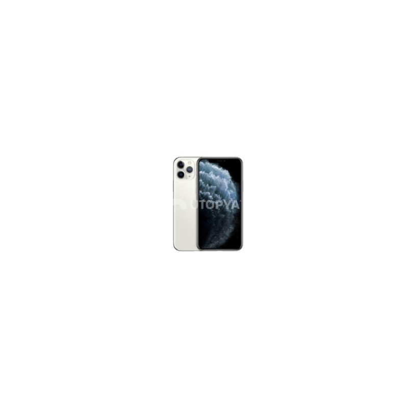 iPhone 11 Pro 256 GB Argento (Grado B) (IVA del margine) (Ricondizionato)