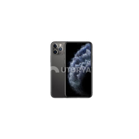 iPhone 11 Pro Max 64 GB Grigio (Grado B) (IVA al margine) (Ricondizionato)