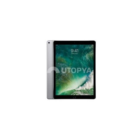 iPad Pro 12.9" 2017 64 GB (Grado C)