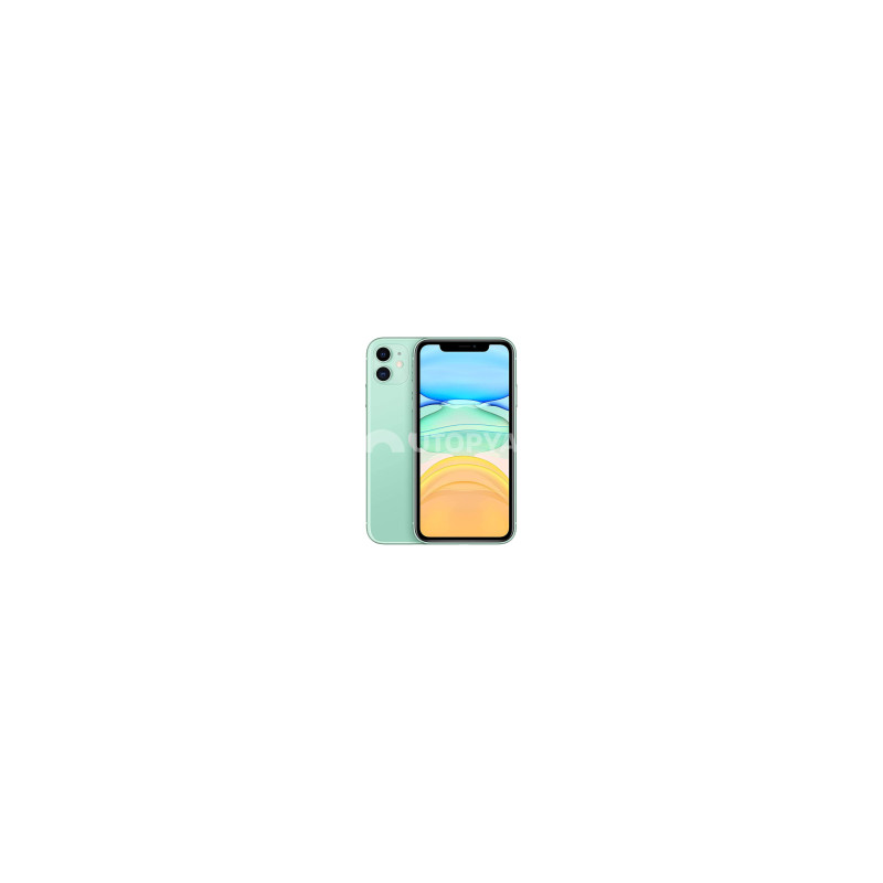 iPhone 11 64 GB Verde (Grade B) (Margin VAT) (Ricondizionato)