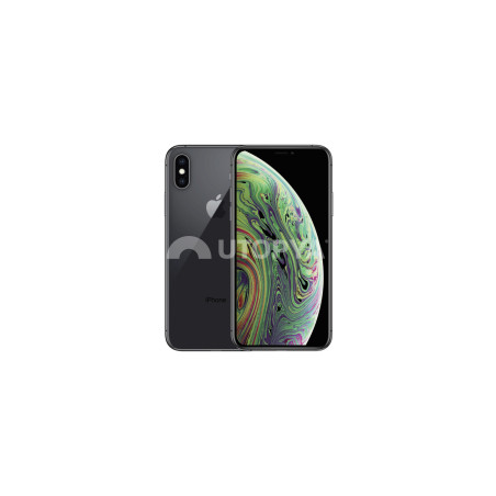 iPhone XS Max 64 GB Grigio (Grado C) (IVA del margine) (Ricondizionato)