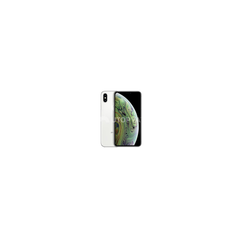 iPhone XS 64 GB Argento (Grado B) (IVA del margine) (Ricondizionato)