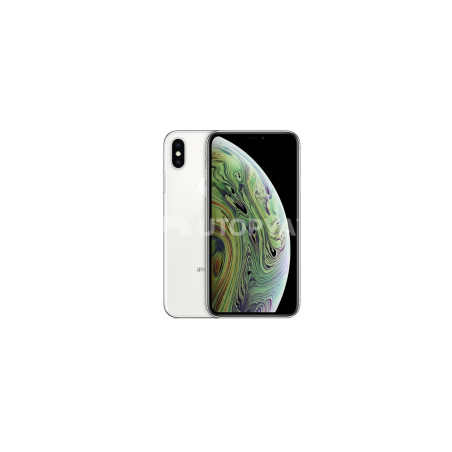 iPhone XS 64 GB Argento (Grado B) (IVA del margine) (Ricondizionato)