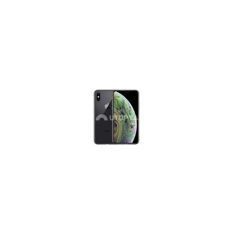 iPhone XS 64 GB Grigio (Grado B) (IVA al margine) (Ricondizionato)