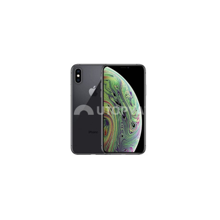 iPhone XS 64 GB Grigio (Grado B) (IVA al margine) (Ricondizionato)