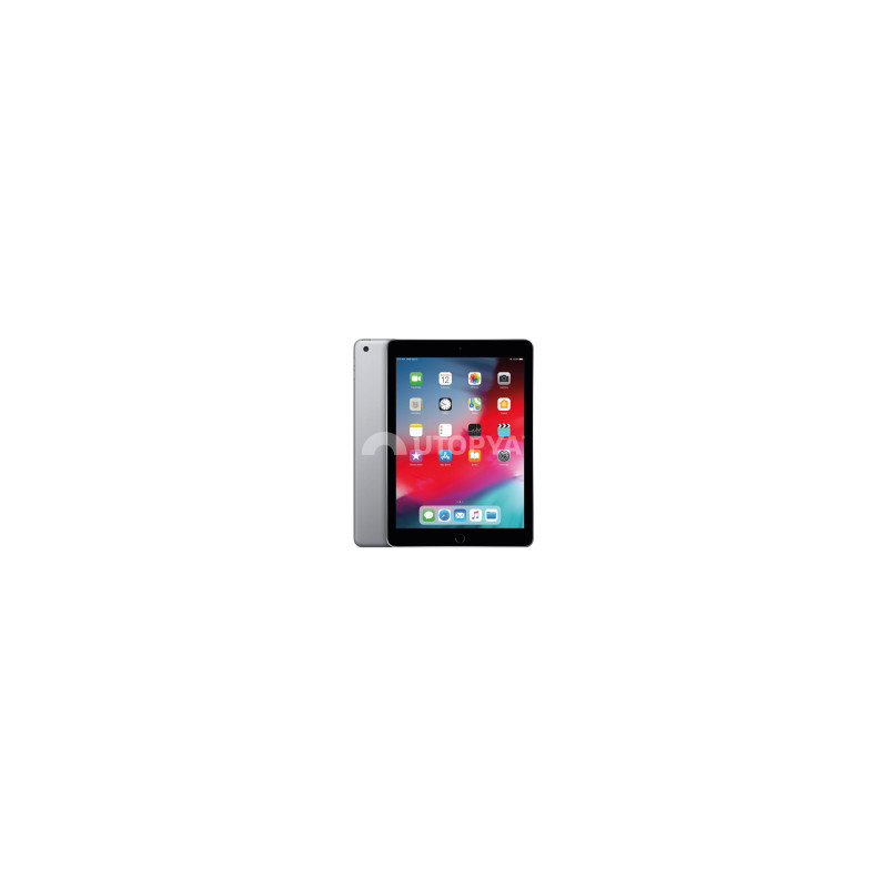 iPad 6ª Gen 9.7" 2018 32 GB (Grado A)