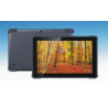Semi Rugged IP54 Pipo N1-8168 10.1″ MTK 8168 2GB RAM