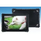 IP67 Rugged Pipo X4-100 10.1″ N100 Quad-core 12GB RAM
