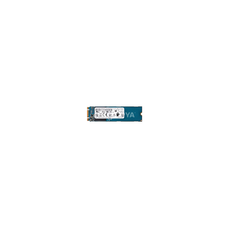 Toshiba SSD M2 NVMe (256 GB) (Ricondizionato)