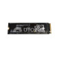 Western Digital SSD M2 NVMe (256 GB) (Ricondizionato)