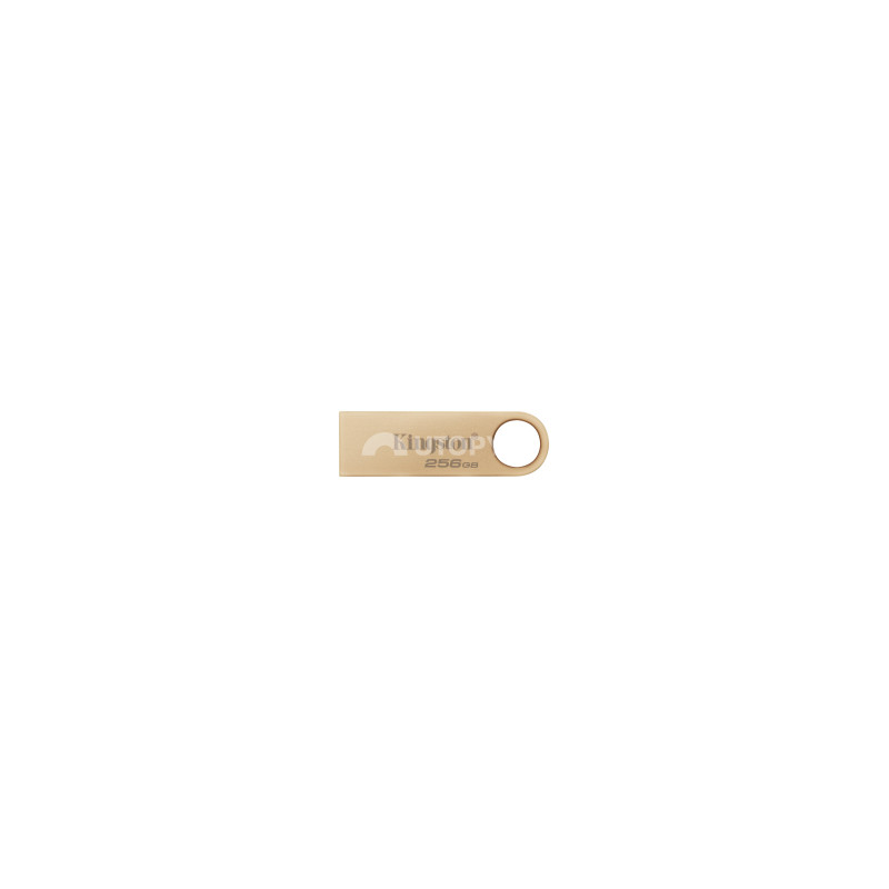 KINGSTON Chiavetta USB DTSE9 G3 256GB