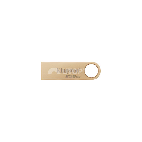 KINGSTON Chiavetta USB DTSE9 G3 256GB
