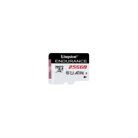 KINGSTON Endurance Scheda MicroSD 256GB