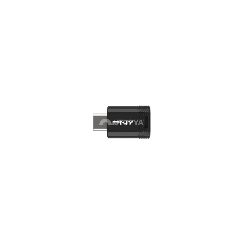 PNY Chiavetta USB Type-C 3.2 Elite-X 256 GB
