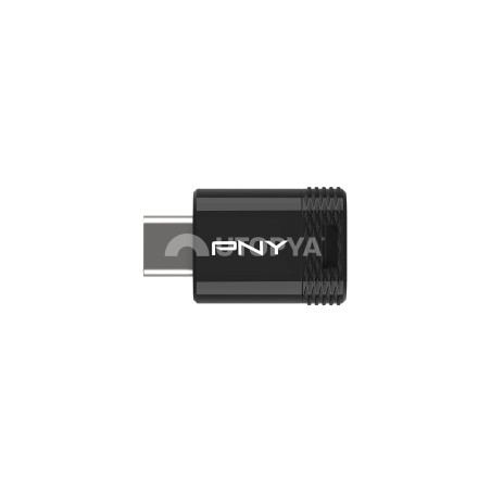 PNY Chiavetta USB Type-C 3.2 Elite-X 256 GB