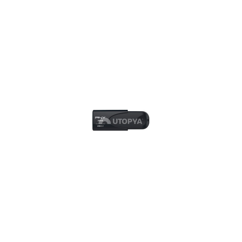 PNY Chiavetta USB Attaché 4 256 GB PNY Chiavetta USB Attaché 4 256 GB
