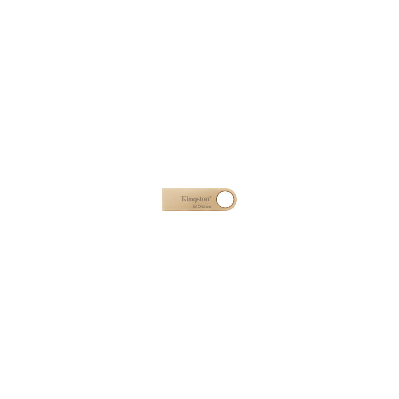KINGSTON Chiavetta USB DTSE9 G3 256GB - Wow Store