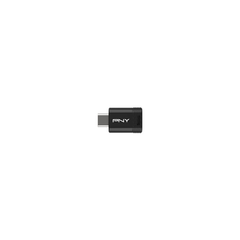 PNY Chiavetta USB Type-C 3.2 Elite-X 256 GB - Wow Store
