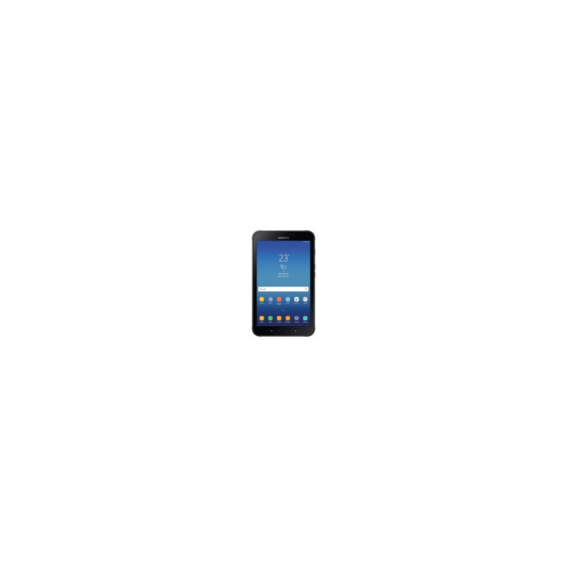 Samsung Galaxy Tab Active 2 16 GB (Mix A/B)