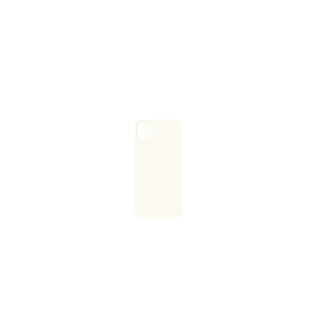 Vetro Scocca Posteriore Bianco iPhone 11 (Big Hole)