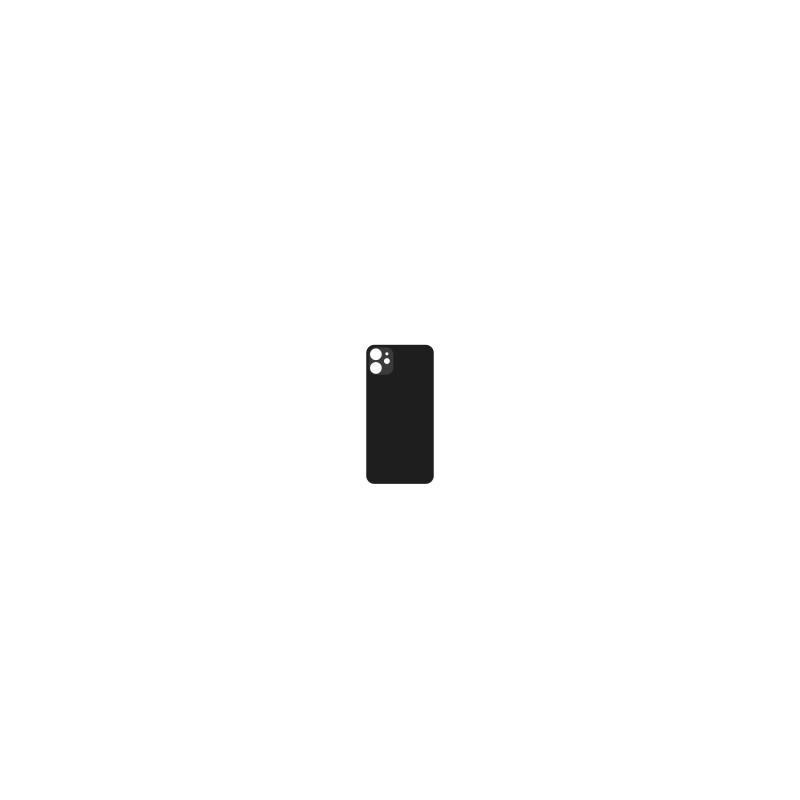 Vetro Scocca Posteriore Nero iPhone 11 (Big Hole)