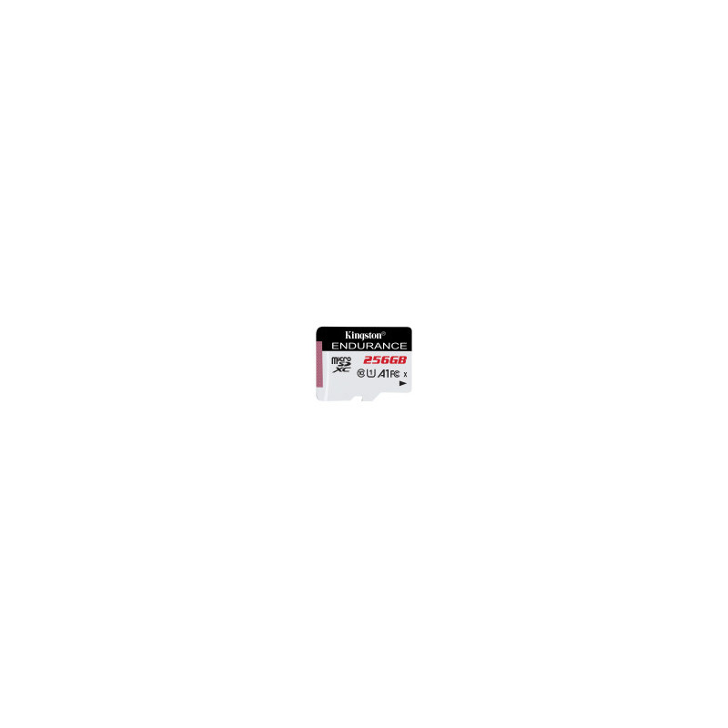 KINGSTON Endurance Scheda MicroSD 256GB - Wow Store