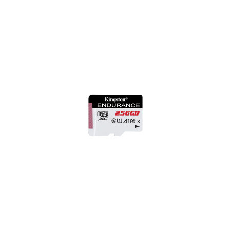 KINGSTON Endurance Scheda MicroSD 256GB - Wow Store