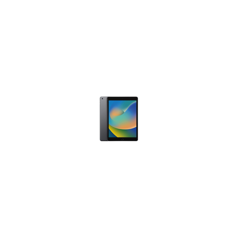 iPad 9a Gen 10.2" 64 GB (Wi-Fi + Cellulare) (Grado A)