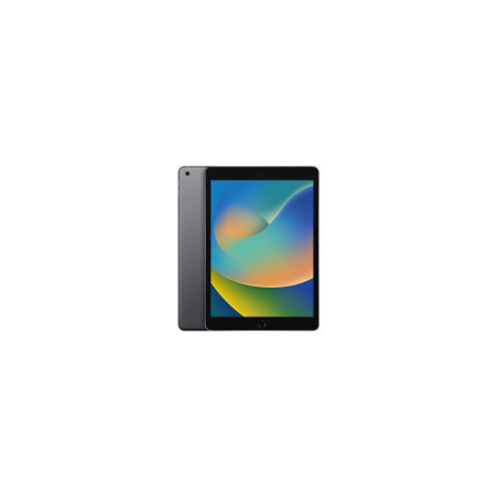 iPad 9a Gen 10.2" 64 GB (Wi-Fi + Cellulare) (Grado A)