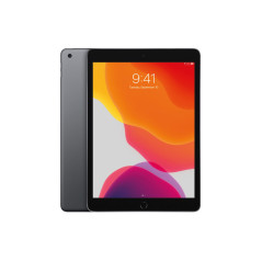 iPad 7e Gen 10.2" 2019 32 GB Grigio (Grado B) (Wifi + Cellular)