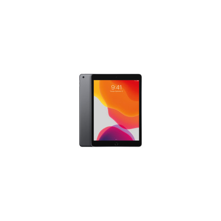 iPad 7e Gen 10.2" 2019 32 GB Grigio (Grado C) (Wifi + Cellular)