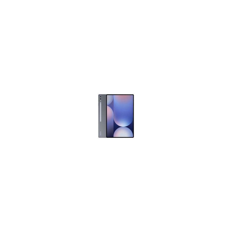 Samsung Galaxy Tab S10+ 256 Go Grigio (Grado A) Samsung Galaxy Tab S10+ 256 Go Grigio (Grado A)