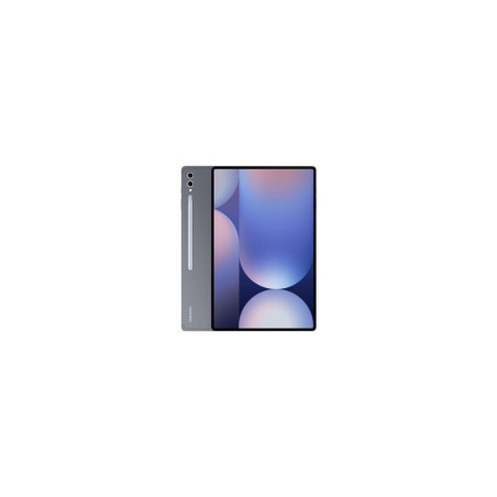 Samsung Galaxy Tab S10+ 256 Go Grigio (Grado A)