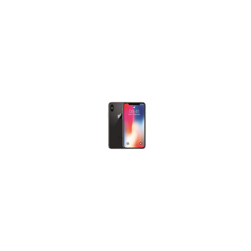 iPhone X 64 GB Grigio (Grado B) (IVA del margine) (Ricondizionato)