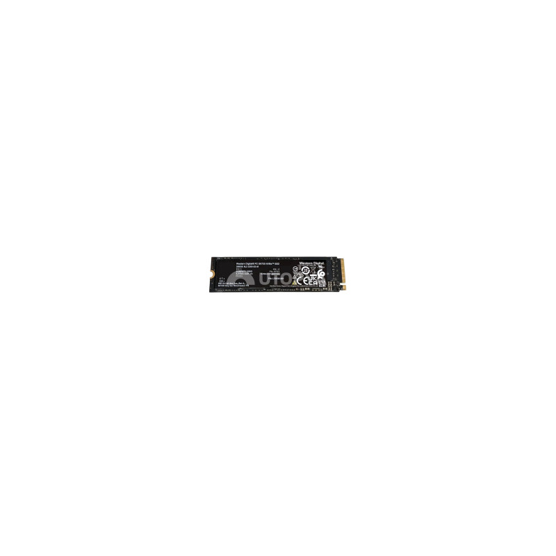Western Digital SSD M2 NVMe (256 GB) (Ricondizionato)
