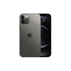 iPhone 12 Pro Max Grafito Ricondizionato Graphite 256GB