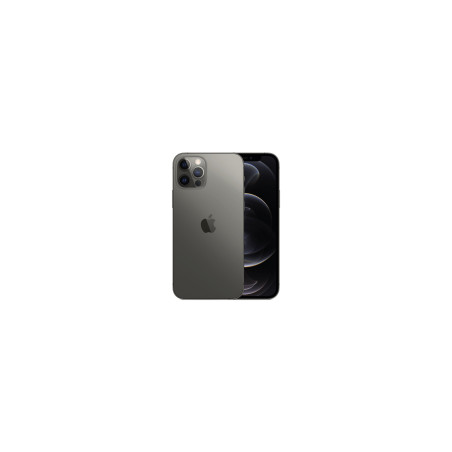 iPhone 12 Pro Max Grafito Ricondizionato Graphite 256GB