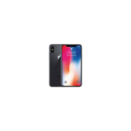 iPhone X Ricondizionato Colori misti 256GB