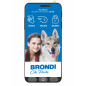 SMARTPHONE AMICO SMARTPHONE S+B NER 5,7 TASTO SOS/ANDROID 12GO/DS