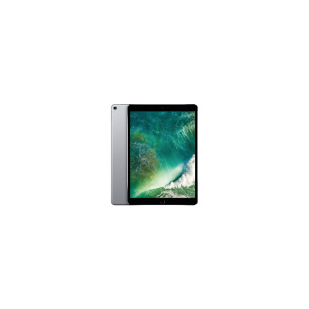 iPad Pro 10.5’’ 2017 256 GB