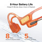 BoneAir Swim Waterproof Sports Headphone with Open-Ear Design