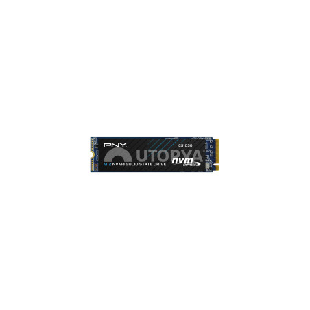 PNY SSD M.2 NVMe CS1030 Gen 3.0 (500Go)