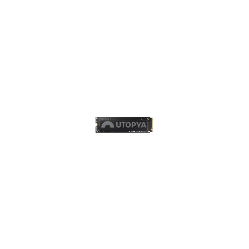 SSD NVME-M2 2230 MultiMarque (256Go) (Refurb)