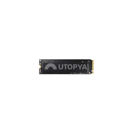 SSD NVME-M2 2230 MultiMarque (256 GB) (Rigenerato)